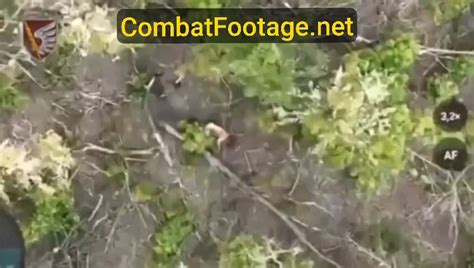 ukraine war footage uncensored reddit.